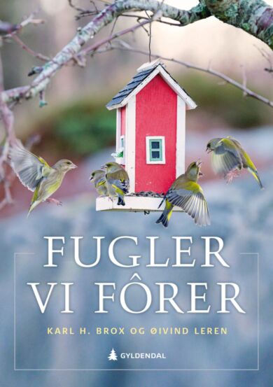 Fugler vi fôrer