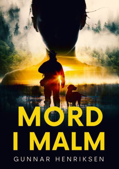 Mord i Malm