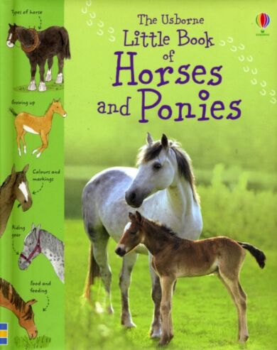 Little Book of Horses and Ponies