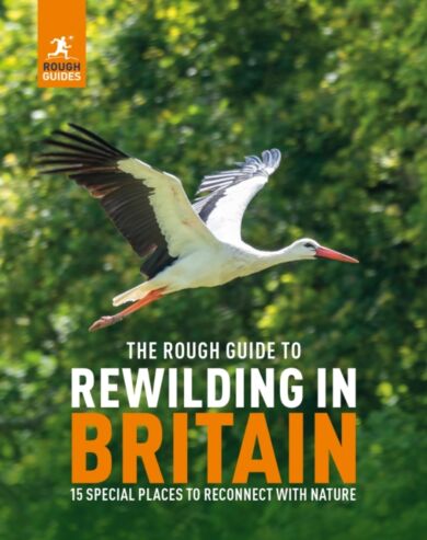 The Rough Guide to Rewilding in Britain