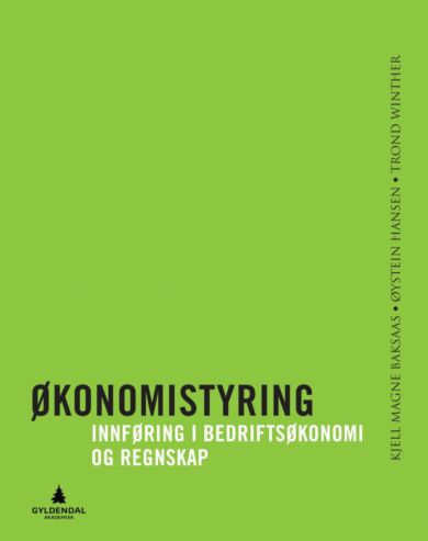 Økonomistyring