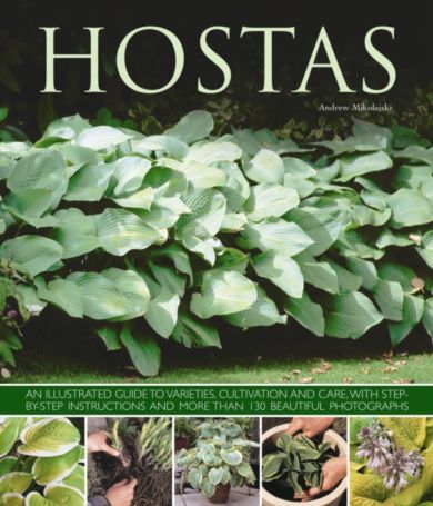 Hostas