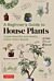 A Beginner's Guide to House Plants