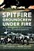 Spitfire Groundcrew Under Fire