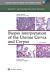 Biopsy Interpretation of the Uterine Cervix and Corpus