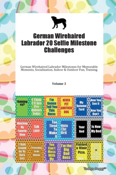 German Wirehaired Labrador 20 Selfie Milestone Challenges German Wirehaired Labrador Milestones for