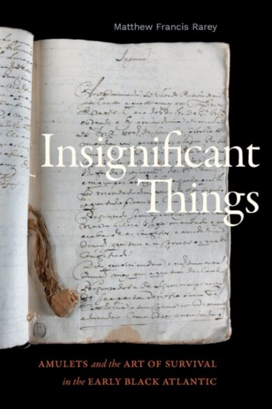 Insignificant Things