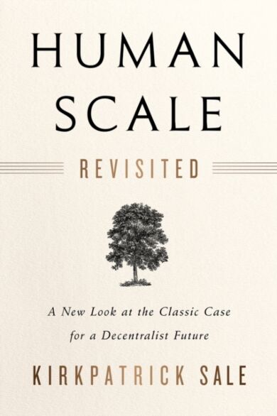 Human Scale Revisited