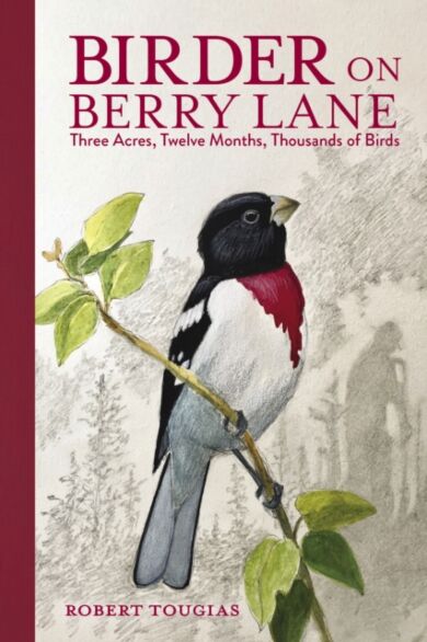 Birder on Berry Lane