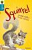 Oxford Reading Tree All Stars: Oxford Level 9 Squirrel