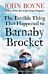 The Terrible Thing That Happened to Barnaby Brocket