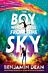 The Boy Who Fell From the Sky