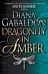 Dragonfly in amber