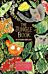 The Jungle Book: ARTHOUSE Unlimited Special Edition