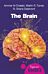 The Brain