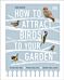 How to Attract Birds to Your Garden