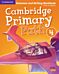 Cambridge Primary Path Level 4 Grammar and Writing Workbook