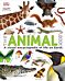 Our World in Pictures The Animal Book