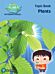 Science Bug: Plants Topic Book