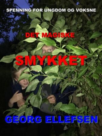 Det magiske smykket