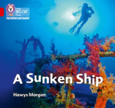 A Sunken Ship