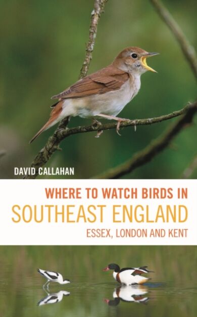 Where to Watch Birds in Southeast England