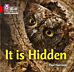 It is Hidden