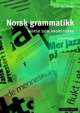 Norsk grammatikk