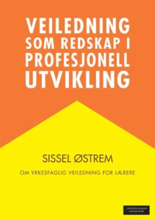 Veiledning som redskap i profesjonell utvikling