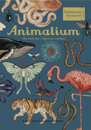 Animalium