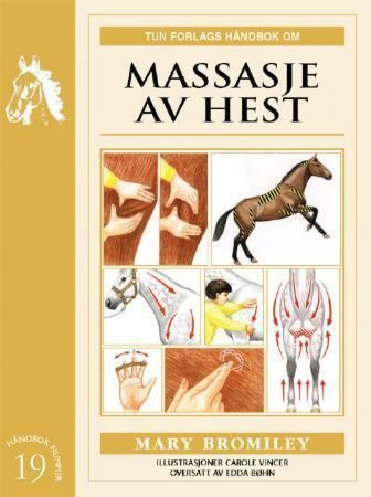 Massasje av hest