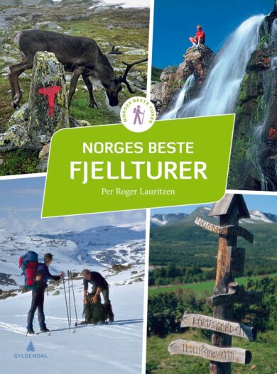 Norges beste fjellturer