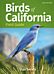 Birds of California Field Guide