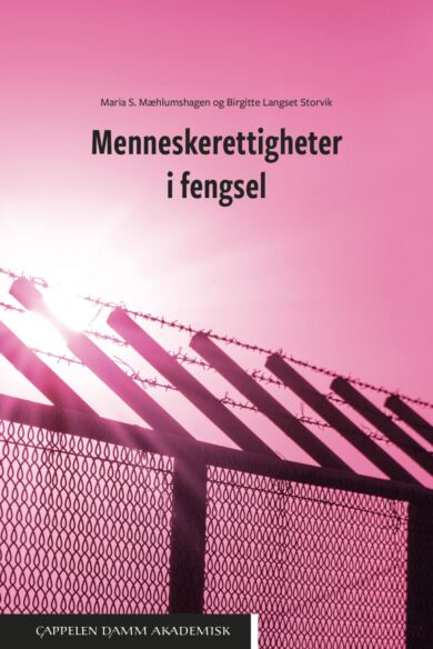 Menneskerettigheter i fengsel