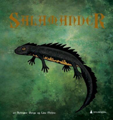 Salamander