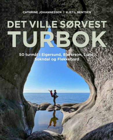 Det ville sørvest