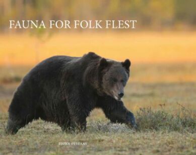 Fauna for folk flest