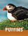 Puffins