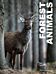 Forest Animals