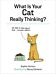 What Is Your Cat Really Thinking?