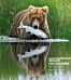 Wildlife Photographer of the Year: Highlights Volume 6, Volume 6