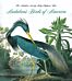 Audubon's Birds of America