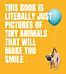 This Book Is Literally Just Pictures of Tiny Animals That Will Make You Smile