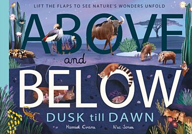 Above and Below: Dusk till Dawn