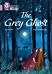 The Grey Ghost