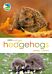 RSPB Spotlight Hedgehogs