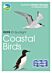 RSPB ID Spotlight - Coastal Birds