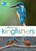 RSPB Spotlight Kingfishers