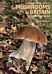 An Identification Guide to Mushrooms of Britain and Northern Europe (2nd edition)