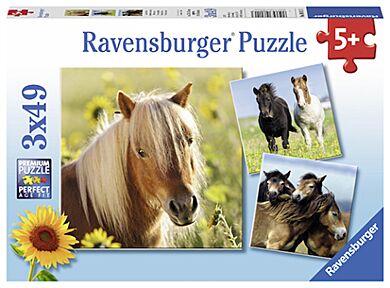 Puslespill 3X49 Hester Ravensburger